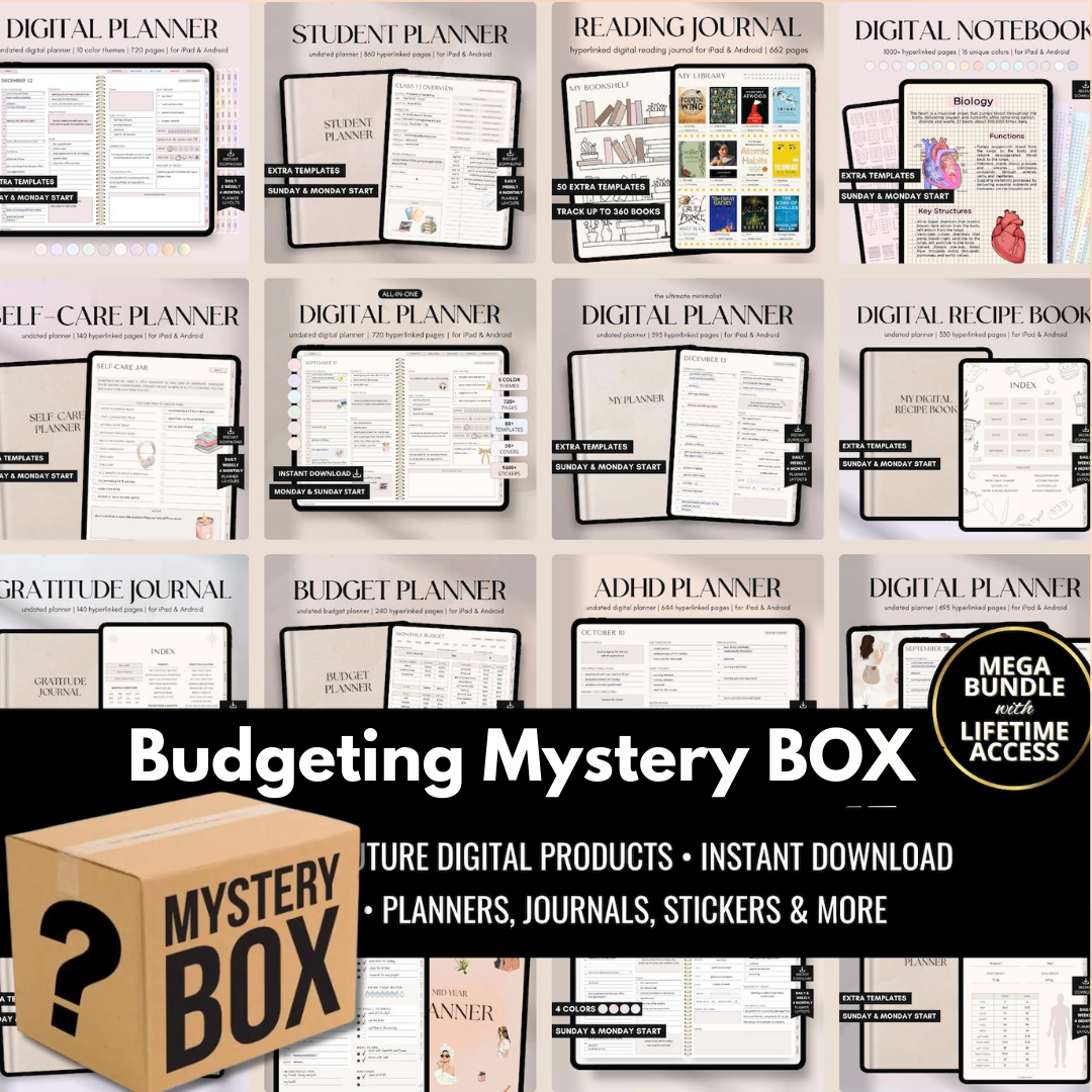 Budgeting Template Mystery Box