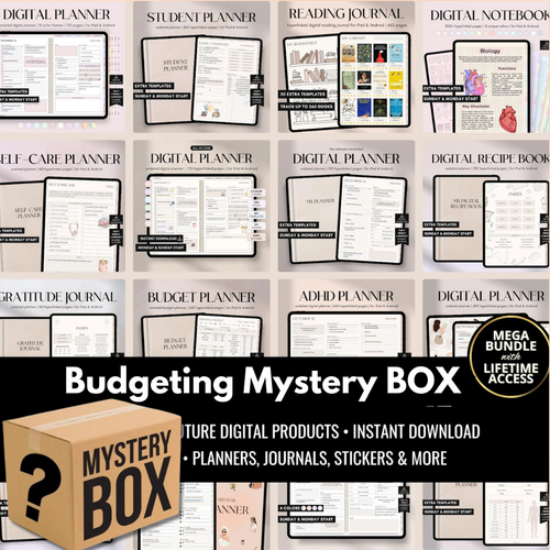 Budgeting Template Mystery Box